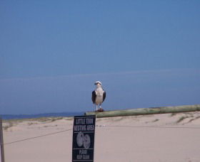 Manning Entrance State Park - South Australia Travel 1