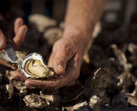 Food, Wine And Farmers Gate Journey On The Legendary Pacific Coast - South Australia Travel 2