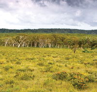 Yuraygir National Park - South Australia Travel