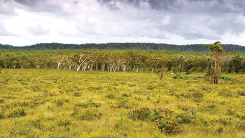 Yuraygir National Park - South Australia Travel 0