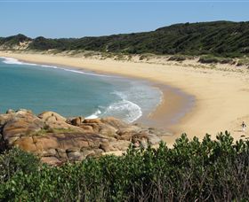 Cape Conran Nature Trail - South Australia Travel 1