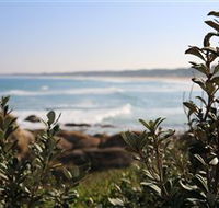 Cape Conran Nature Trail - South Australia Travel