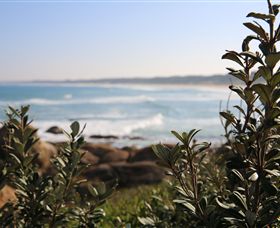 Cape Conran Nature Trail - South Australia Travel 0