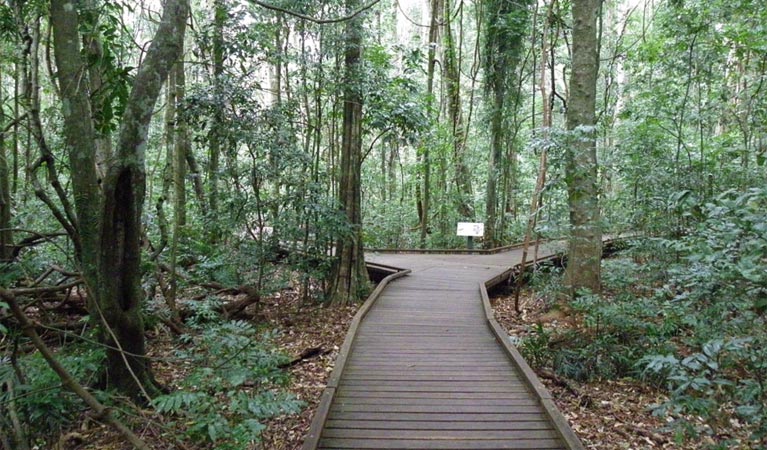 Dalwood NSW South Australia Travel