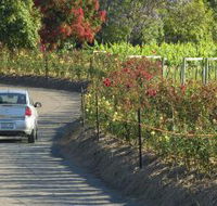 Cassegrain Wines - South Australia Travel