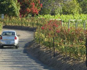 Cassegrain Wines - South Australia Travel 0