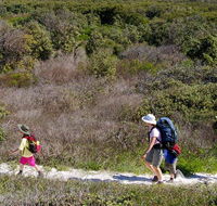 Yuraygir coastal walk - South Australia Travel