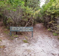 Angophora grove walking track - South Australia Travel