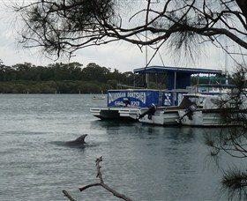 Dunbogan Boatshed - South Australia Travel 2