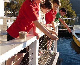 Dunbogan Boatshed - South Australia Travel 3