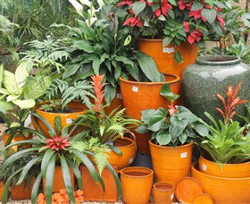 Diamond Waters Garden Nursery - South Australia Travel 1