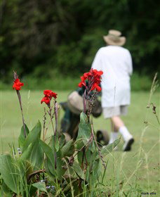 Teven Valley Golf Course - South Australia Travel 3
