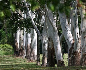 Teven Valley Golf Course - South Australia Travel 1