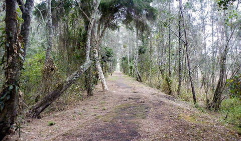 Walk On Water Walking Track - South Australia Travel 2