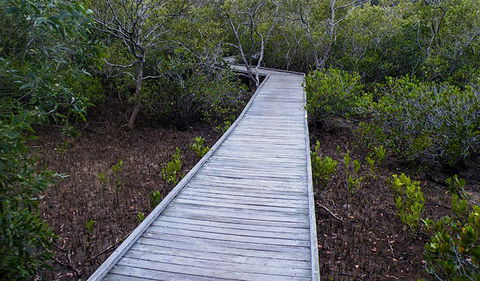 Walk On Water Walking Track - South Australia Travel 3