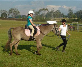 Port Macquarie Horse Riding Centre - South Australia Travel 0