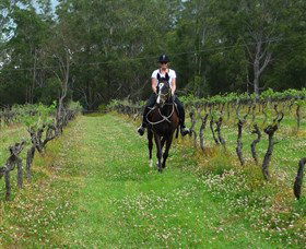 Port Macquarie Horse Riding Centre - South Australia Travel 1