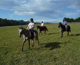 Port Macquarie Horse Riding Centre - South Australia Travel 5