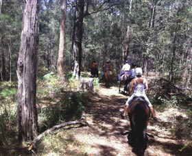 Port Macquarie Horse Riding Centre - South Australia Travel 4