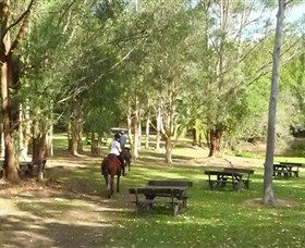 Port Macquarie Horse Riding Centre - South Australia Travel 6