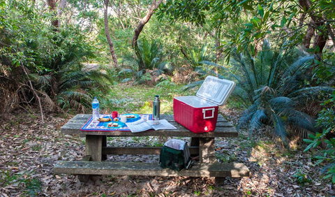 Broadwater Beach Picnic Area - South Australia Travel 0
