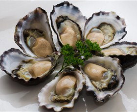 Tathra Oysters - South Australia Travel 0