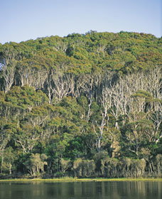 Ben Boyd National Park - South Australia Travel 5