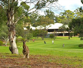  South Australia Travel