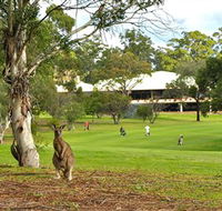 Pambula Merimbula Golf Club - South Australia Travel
