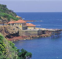 Merimbula Aquarium - South Australia Travel