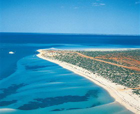 Monkey Mia WA South Australia Travel