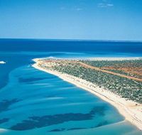 Monkey Mia - South Australia Travel