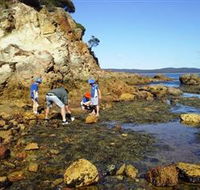 Sapphire Coast Marine Discovery Centre - South Australia Travel
