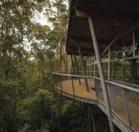 Tarkine Forest Adventures - Dismal Swamp - South Australia Travel