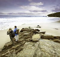 Wilderness Coast Walk - South Australia Travel