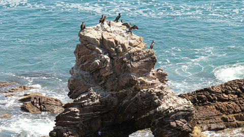 Ben Boyd National Park - South Australia Travel 2