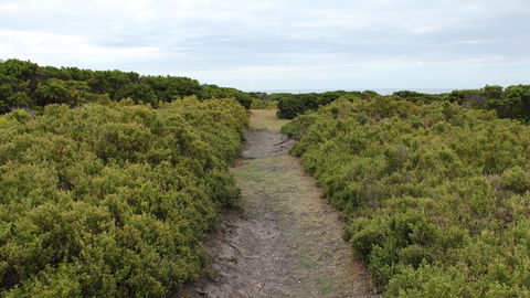 Ben Boyd National Park - South Australia Travel 3