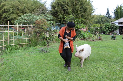 Djanbung Permaculture Gardens - South Australia Travel 7