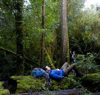The Tarkine Drive - South Australia Travel