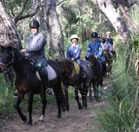 Mirravale Horse Riding School - South Australia Travel