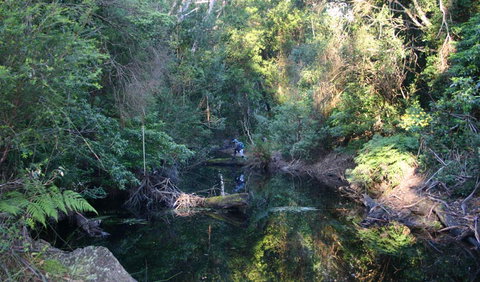 Nadgee Nature Reserve - South Australia Travel 2
