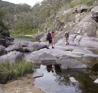 Nadgee Wilderness Walk - South Australia Travel