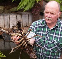 Lobster Ponds - South Australia Travel