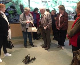 Lobster Ponds - South Australia Travel 1