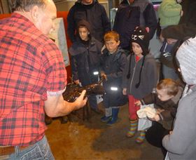 Lobster Ponds - South Australia Travel 3