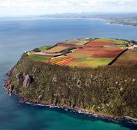 Table Cape - South Australia Travel