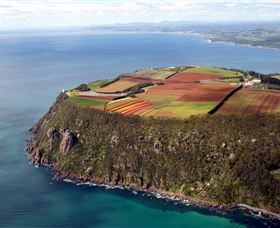 Table Cape - South Australia Travel 0