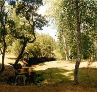 Oldina Picnic Area - South Australia Travel