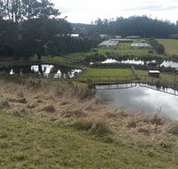 Guide Falls Farm - South Australia Travel