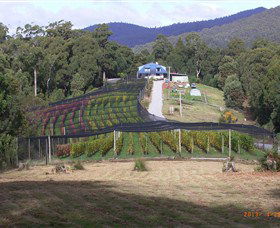 North Motton TAS South Australia Travel